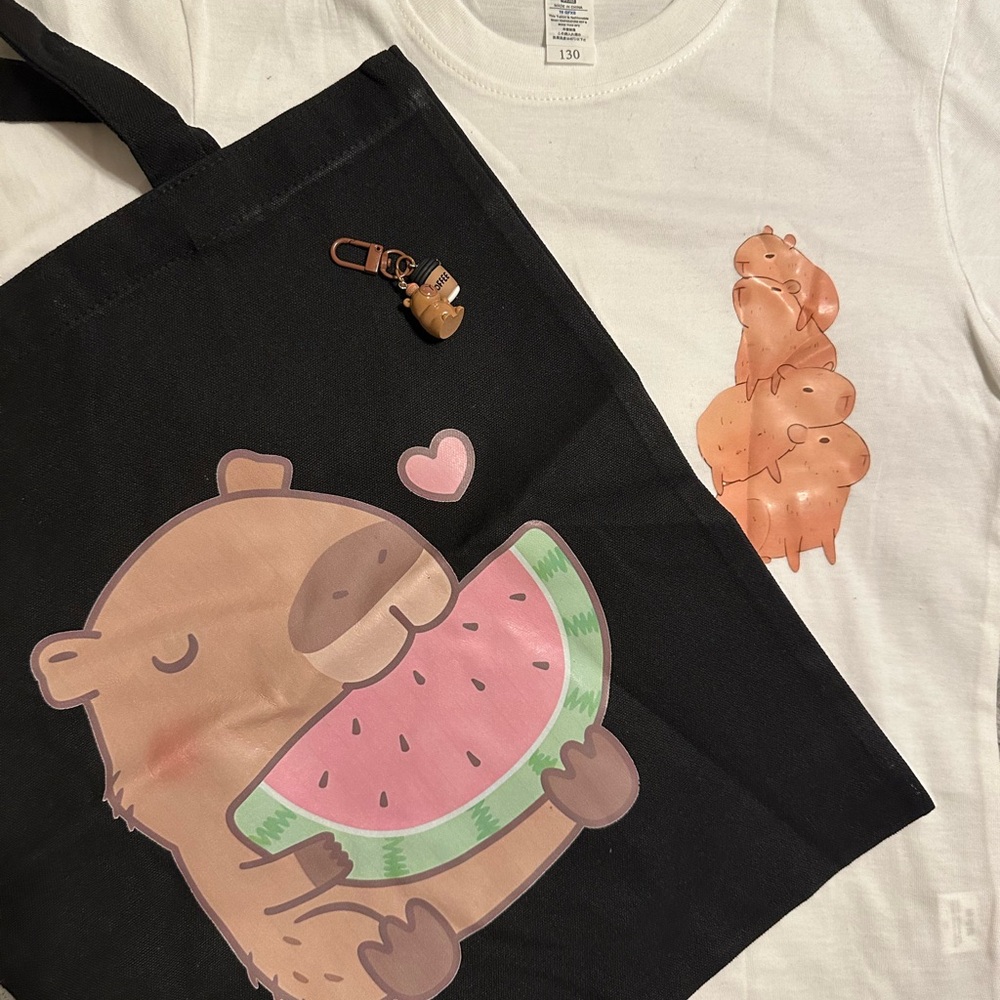 ⚡️NWT Cute Capybara Tote ,T-Shirt Set and capybara keychain